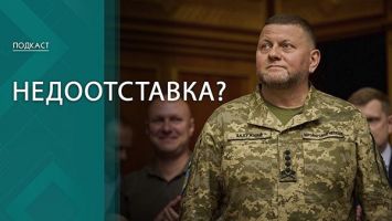 Новая фаворитка короля и "тараканьи бега" в Киеве! Что говорят эксперты о НЕДОотставке Залужного? 