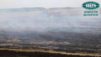 В Петриковском районе ликвидируют пожар на торфянике