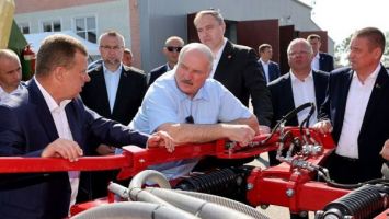 "Мы должны потреблять свою картошку!" Разбор громких заявлений Лукашенко за август!