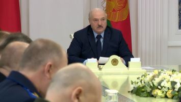 Лукашенко посоветовал внедрить в белорусское законодательство нормы западных стран