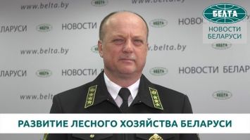 Шатравко о перспективах развития лесного хозяйства Беларуси