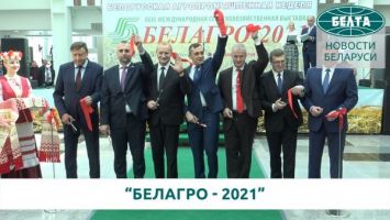 Более 400 компаний из 16 стран мира принимает участие в выставке "Белагро"