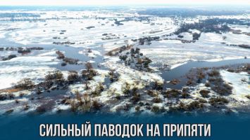 Сильный паводок на Припяти