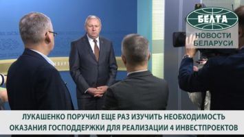 Лукашенко поручил еще раз изучить необходимость оказания господдержки для реализации 4 инвестпроектов