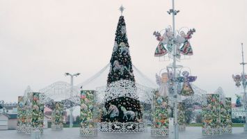 Елки к праздникам: мнения жителей, модные тренды и путь от лесхоза до дома