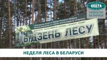 В Беларуси стартовала Неделя леса