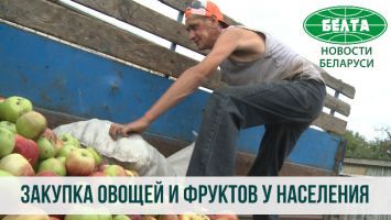 Где в Солигорском районе можно сдать овощи и фрукты