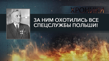 Возглавил отряд партизан и вдохновил Хемингуэя! // Орловский: захватывающая история Героя СССР!