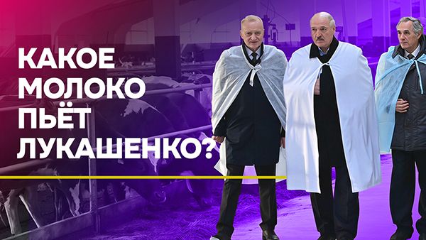 Лукашенко ПЬЁТ МОЛОКО на ферме: Я посмотрю, что с вами будет! | Рассказываем про КРАСНЫХ КОРОВ!