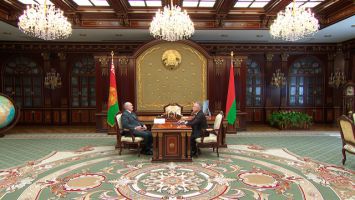 Лукашенко обещает поддержку развитию партийной системы Беларуси, но без искусственных мер