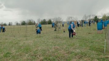 Высадили 200 саженцев. Республиканская акция "Яблоневый сад" прошла в Минске