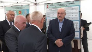 Лукашенко в ближайшее время изучит ситуацию в сфере переработки льна