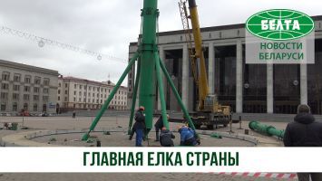 Главную елку страны устанавливают на Октябрьской площади