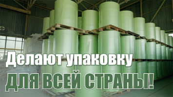 Эту упаковку вы видите каждый день! // Из чего делают лотки для яиц? // Бизнес ИЗНУТРИ