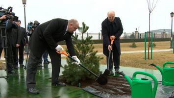 Маргвелашвили посадил дерево на Аллее почетных гостей у Дворца Независимости