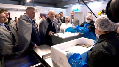 "Надо наполнить рынок рыбой". Лукашенко поручил тиражировать опыт рыбхоза "Палуж"