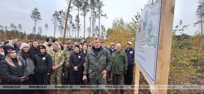 Около 5,5 га леса посадили участники форума "Молодежь и будущее" на буреломных участках в нацпарке "Припятский"