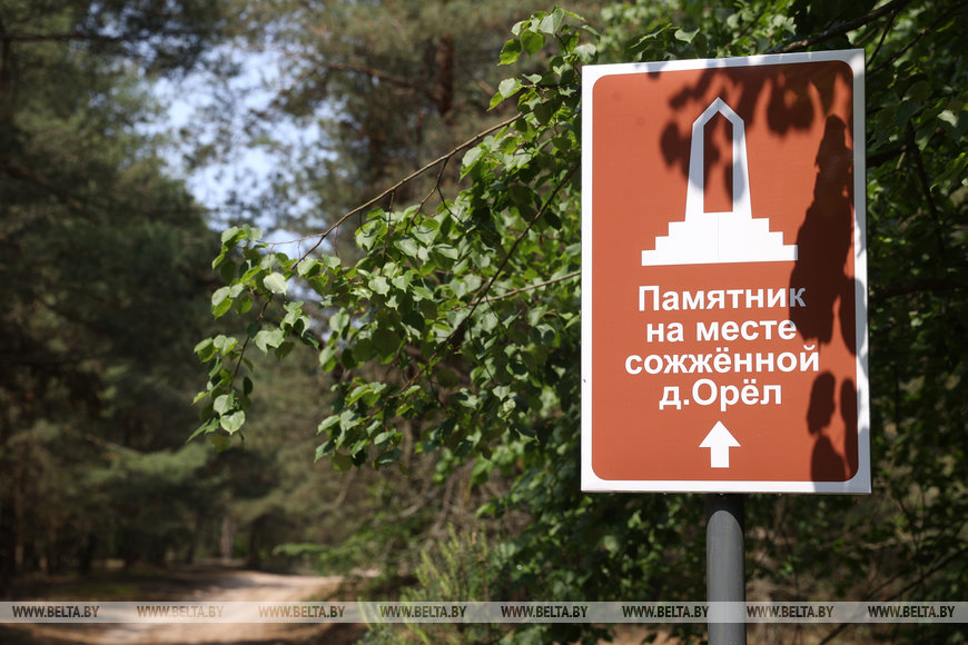 Не восставший из пепла Орел, или Застывший в камне крик сожженной деревни в Кобринском районе