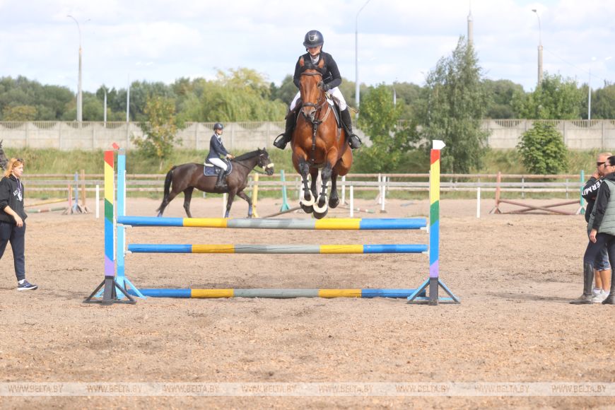 Соревнования, конкурсы и мастер-классы: спортивно-семейный фестиваль «Конная фиеста» проходит в Бресте