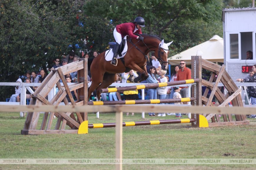 Соревнования, конкурсы и мастер-классы: спортивно-семейный фестиваль «Конная фиеста» проходит в Бресте