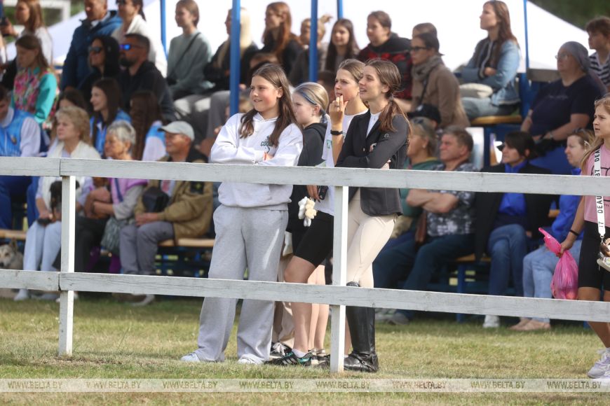 Соревнования, конкурсы и мастер-классы: спортивно-семейный фестиваль «Конная фиеста» проходит в Бресте