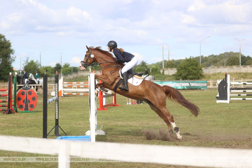 Соревнования, конкурсы и мастер-классы: спортивно-семейный фестиваль «Конная фиеста» проходит в Бресте