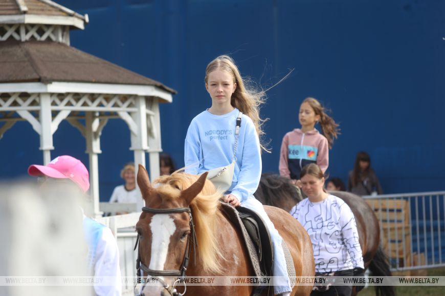 Соревнования, конкурсы и мастер-классы: спортивно-семейный фестиваль «Конная фиеста» проходит в Бресте