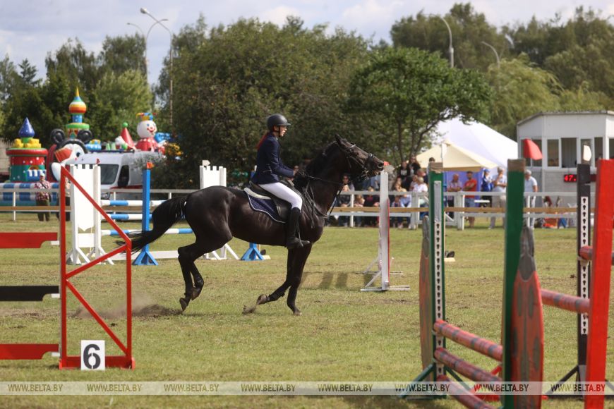 Соревнования, конкурсы и мастер-классы: спортивно-семейный фестиваль «Конная фиеста» проходит в Бресте