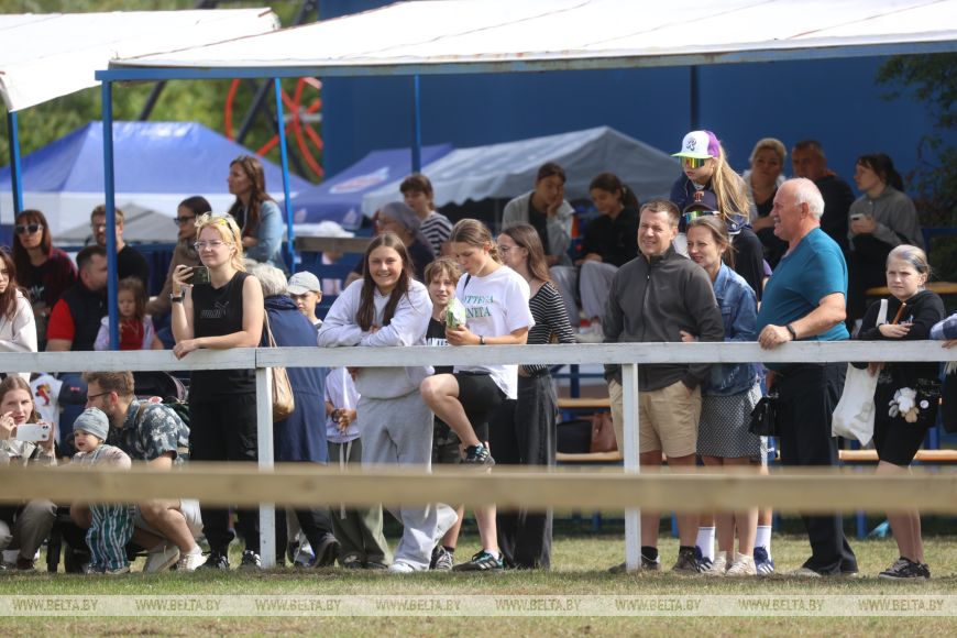 Соревнования, конкурсы и мастер-классы: спортивно-семейный фестиваль «Конная фиеста» проходит в Бресте