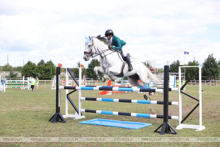 Соревнования, конкурсы и мастер-классы: спортивно-семейный фестиваль «Конная фиеста» проходит в Бресте