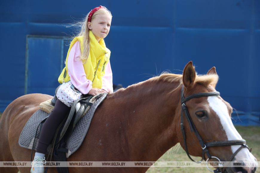 Соревнования, конкурсы и мастер-классы: спортивно-семейный фестиваль «Конная фиеста» проходит в Бресте