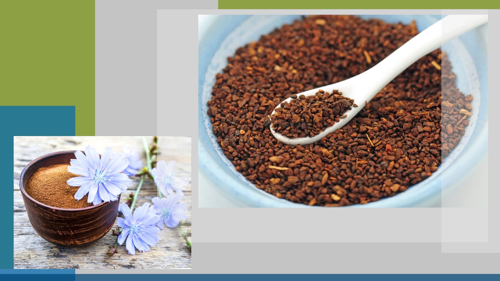 Польза цикория