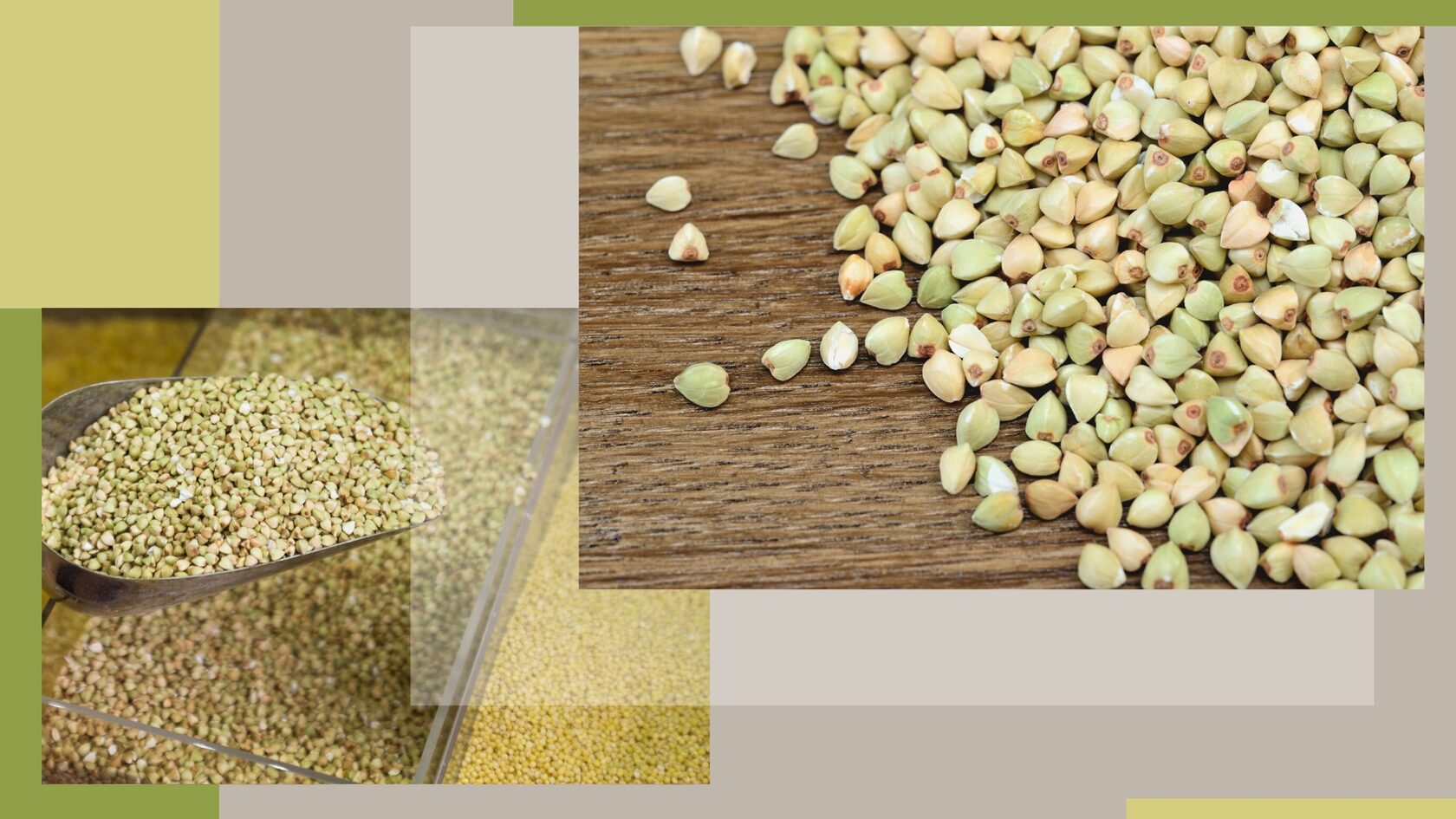 пророщенная зелёная гречка польза