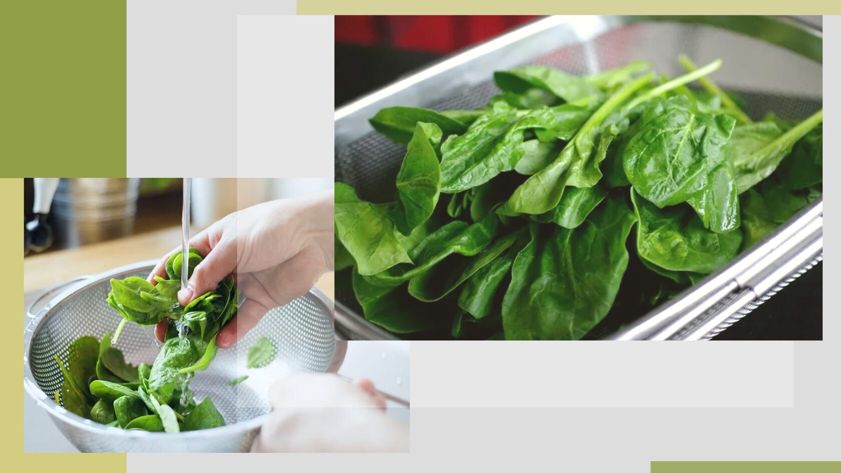 полезные свойства шпината