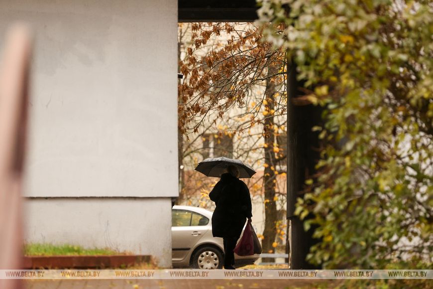 Белгидромет: ноябрь продолжит радовать белорусов не по сезону теплой погодой. Но это ненедолго