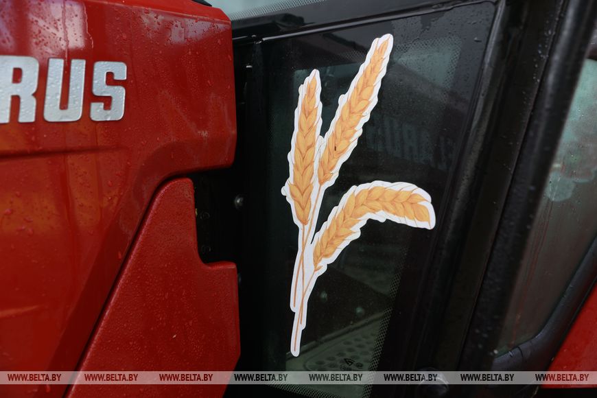 18-летняя Лия и трактор. История из Брестской области