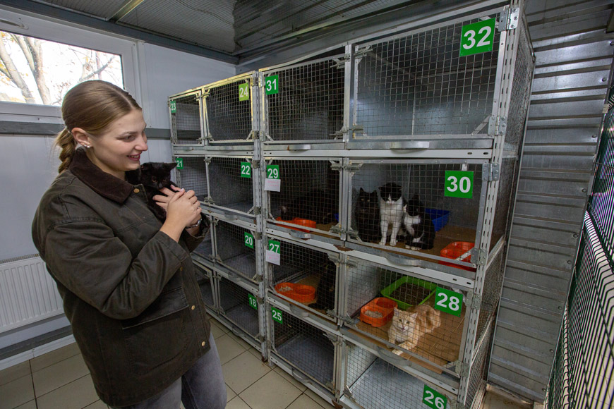 Как заботятся о животных в Бресте? Мы побывали в пункте временного содержания и узнали