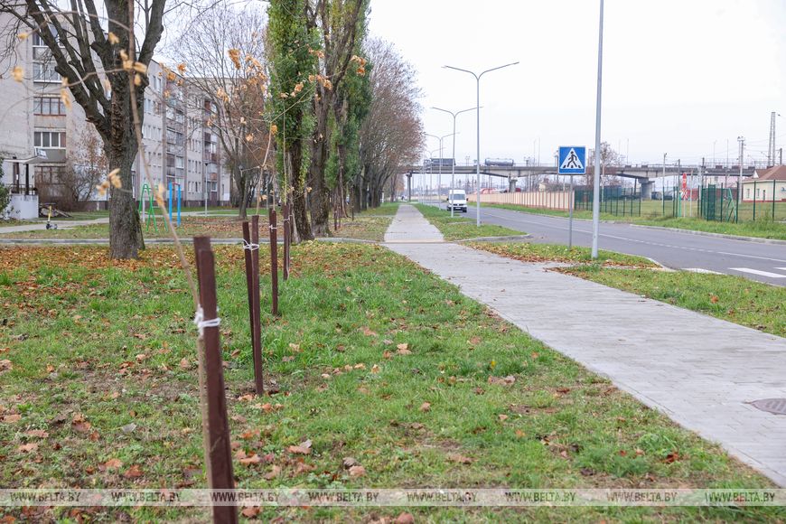 В Бресте появятся новые места отдыха и еще один пляж — какими они будут