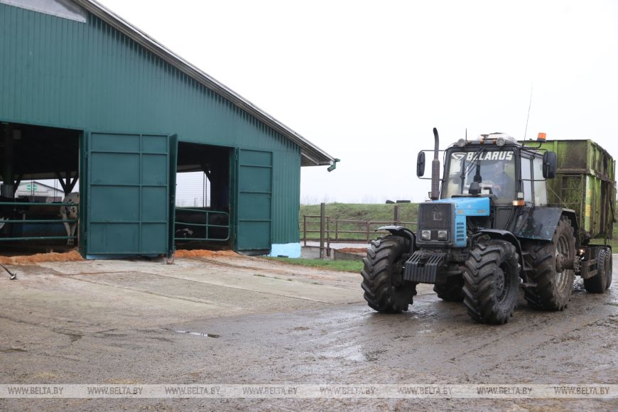 Трактор, поле и любовь: история большой семьи из Малоритского района