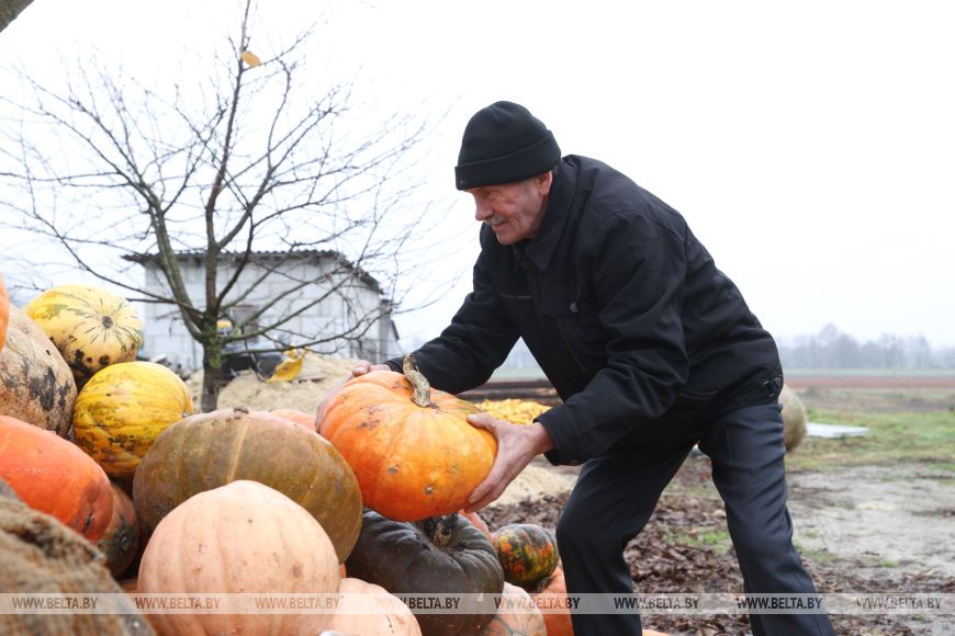 Трактор, поле и любовь: история большой семьи из Малоритского района