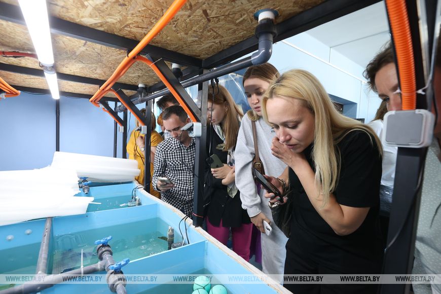 "Дегустации будут весной". Предприниматель из глубинки научился выращивать креветку в наших широтах