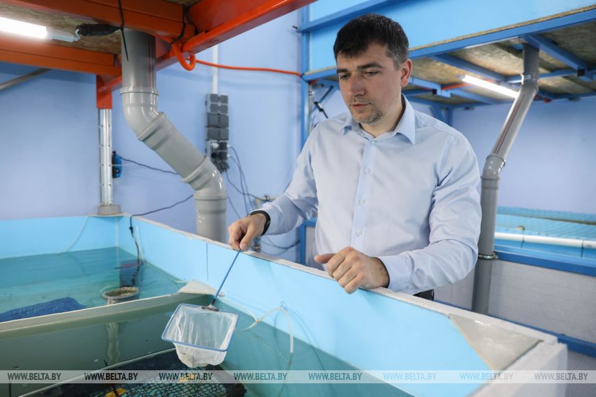 "Дегустации будут весной". Предприниматель из глубинки научился выращивать креветку в наших широтах