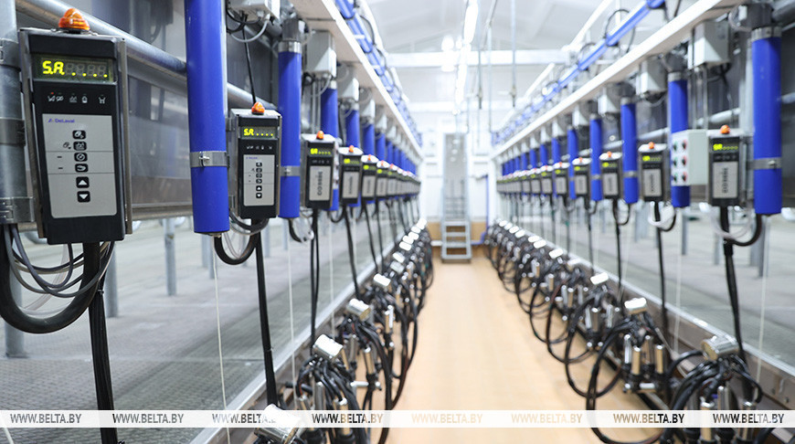 Выступление Президента Лукашенко на втором заседании седьмого Всебелорусского народного собрания