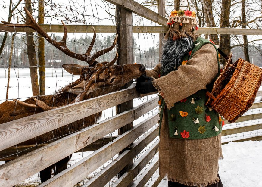 Конкурент Деда Мороза или новый новогодний волшебник? Историю Полесского Зюзи рассказали на его родине