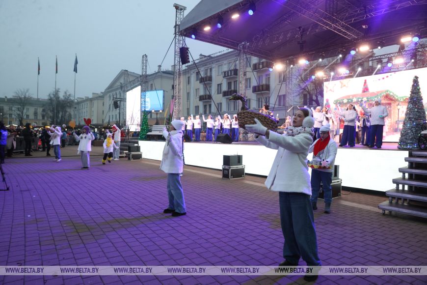 Огни зажгли на главной елке города Бреста