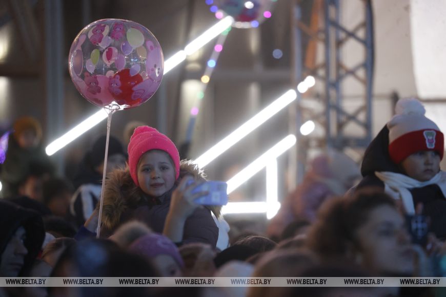 Огни зажгли на главной елке города Бреста