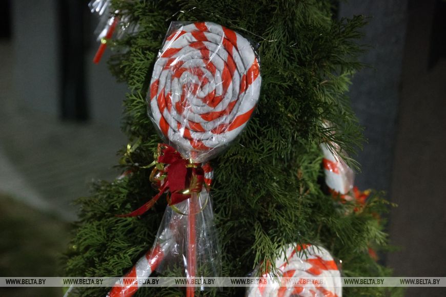 Брестчане превратили свои подъезды в новогодние фотозоны