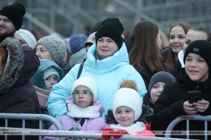 Огни зажгли на главной елке города Бреста
