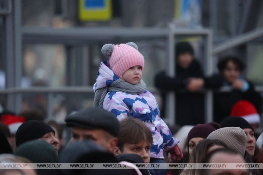 Огни зажгли на главной елке города Бреста
