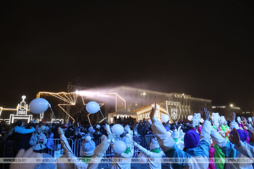Огни зажгли на главной елке города Бреста